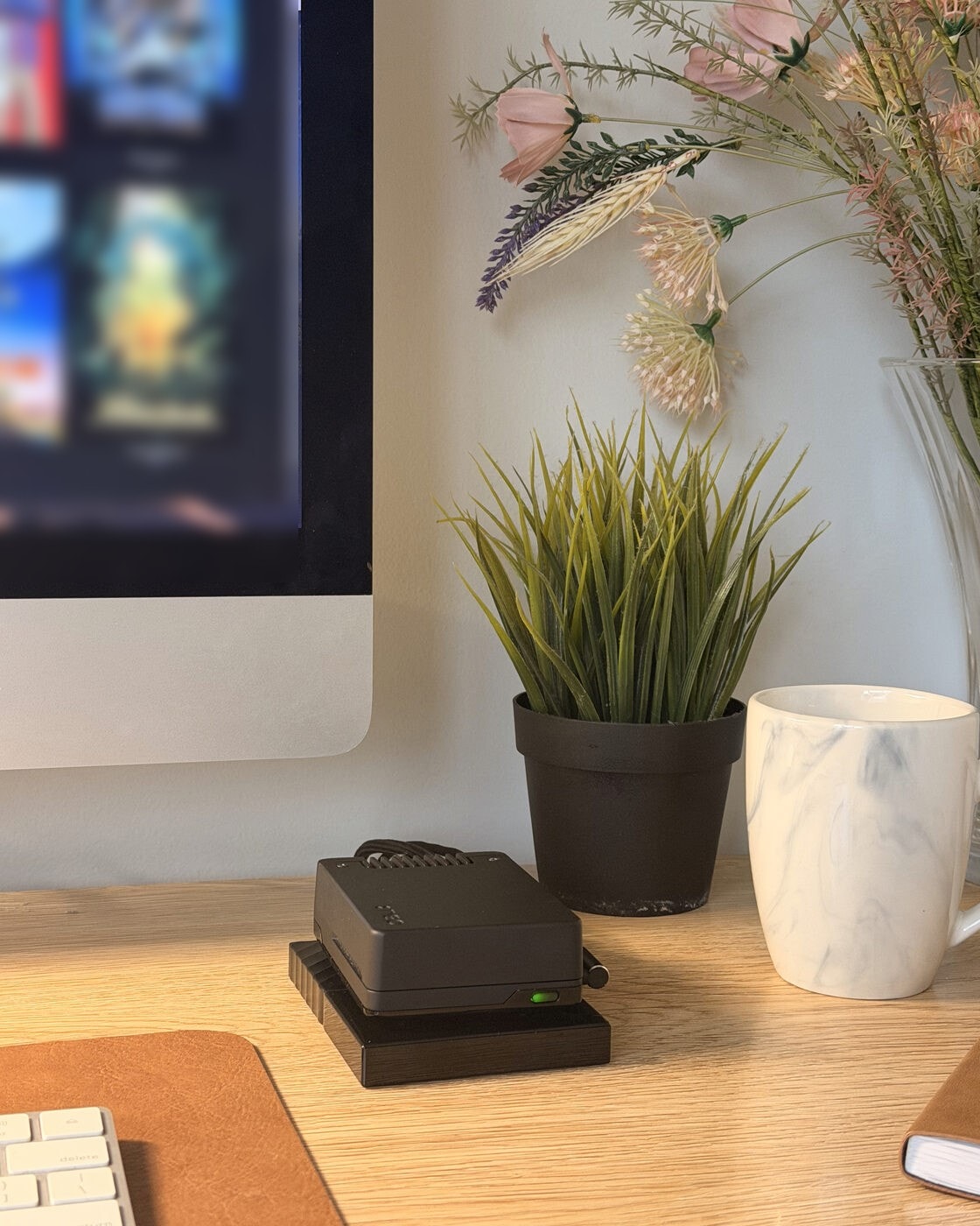 A WOMBATS Shield on an oak desk, green light on, sitting on a USB drive beside a plant, a mug and an iMac showing a media library.